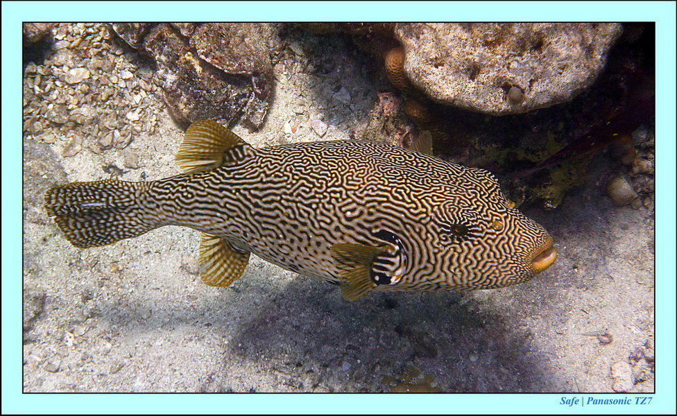 2012 - 03 - Koh Ha 31